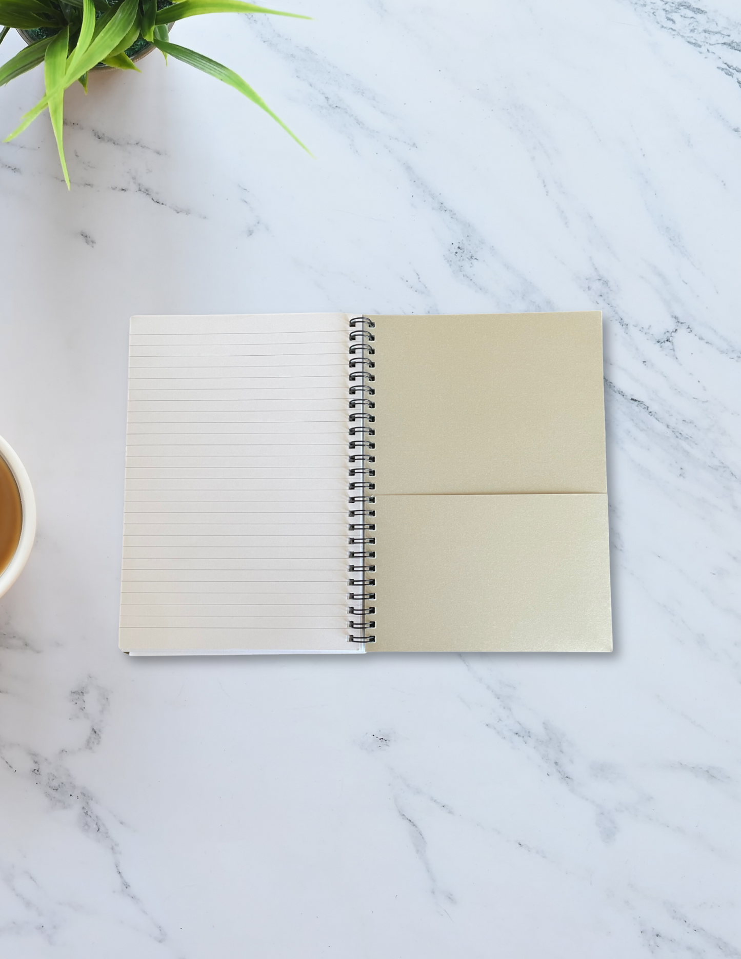 Sun Dazed Spiral Notebook