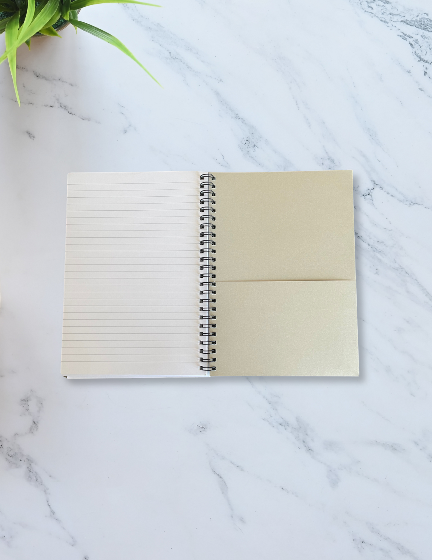 Worn with Pride Spiral Notebook