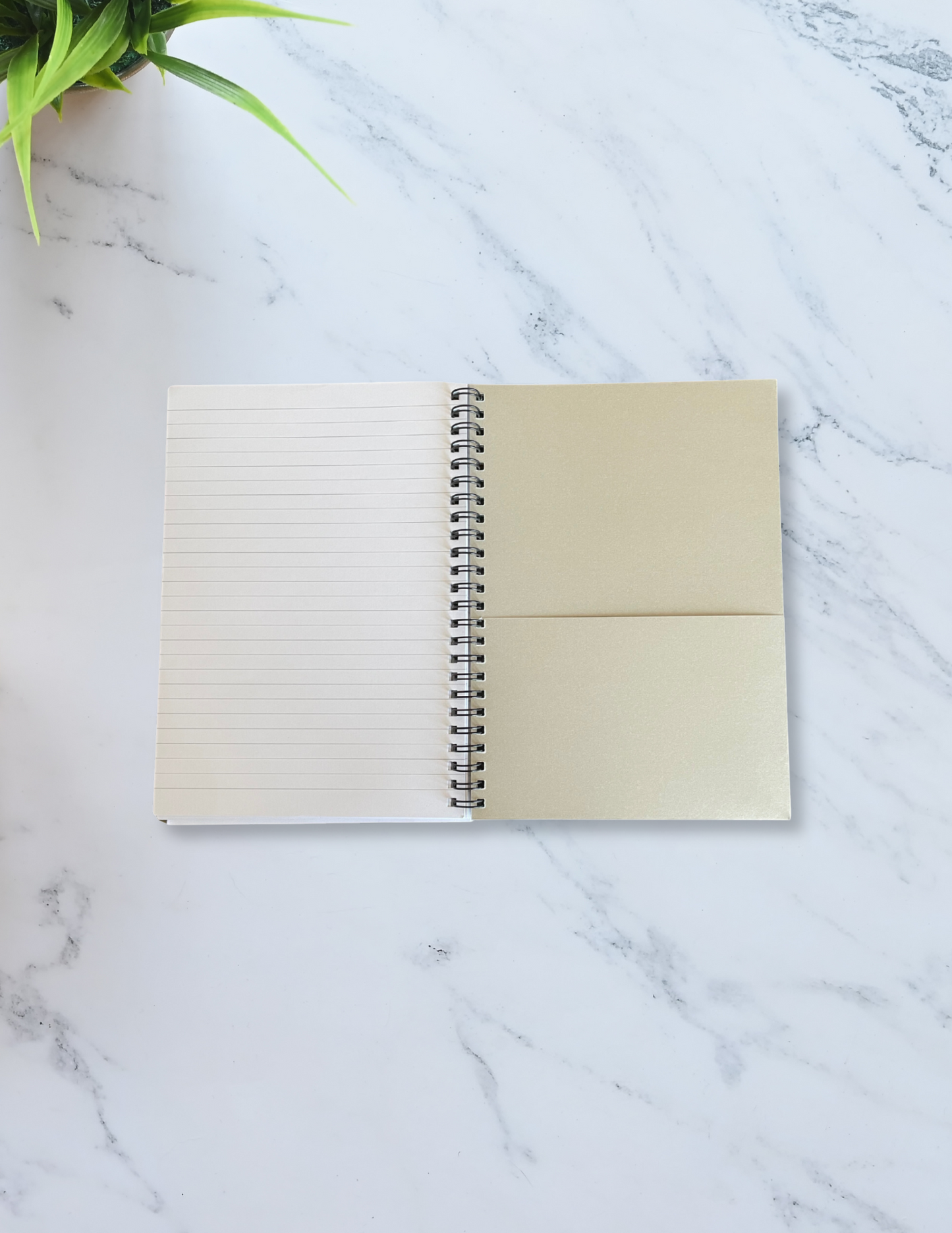 Not the Final Page Spiral Notebook