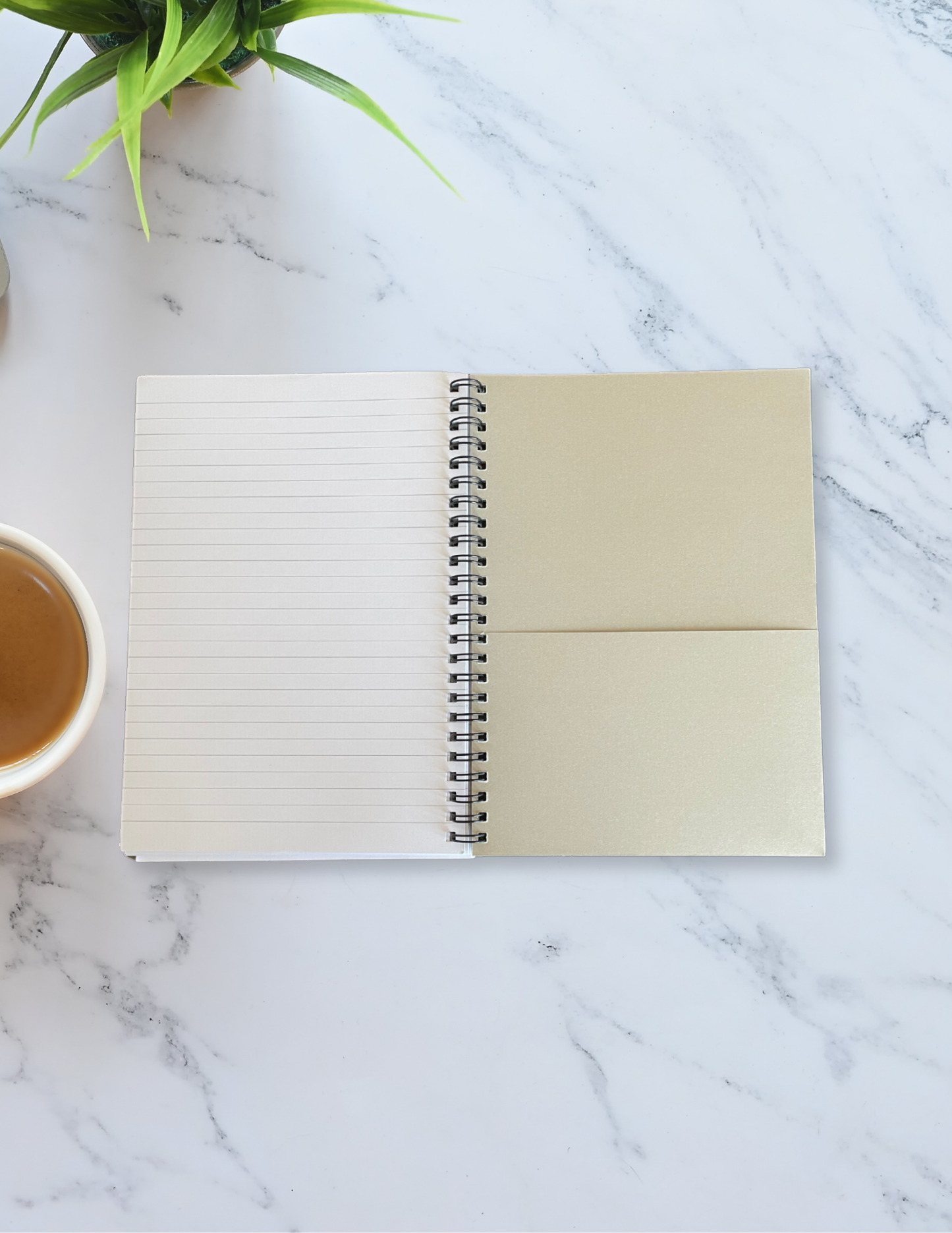 The Love Script Spiral Notebook