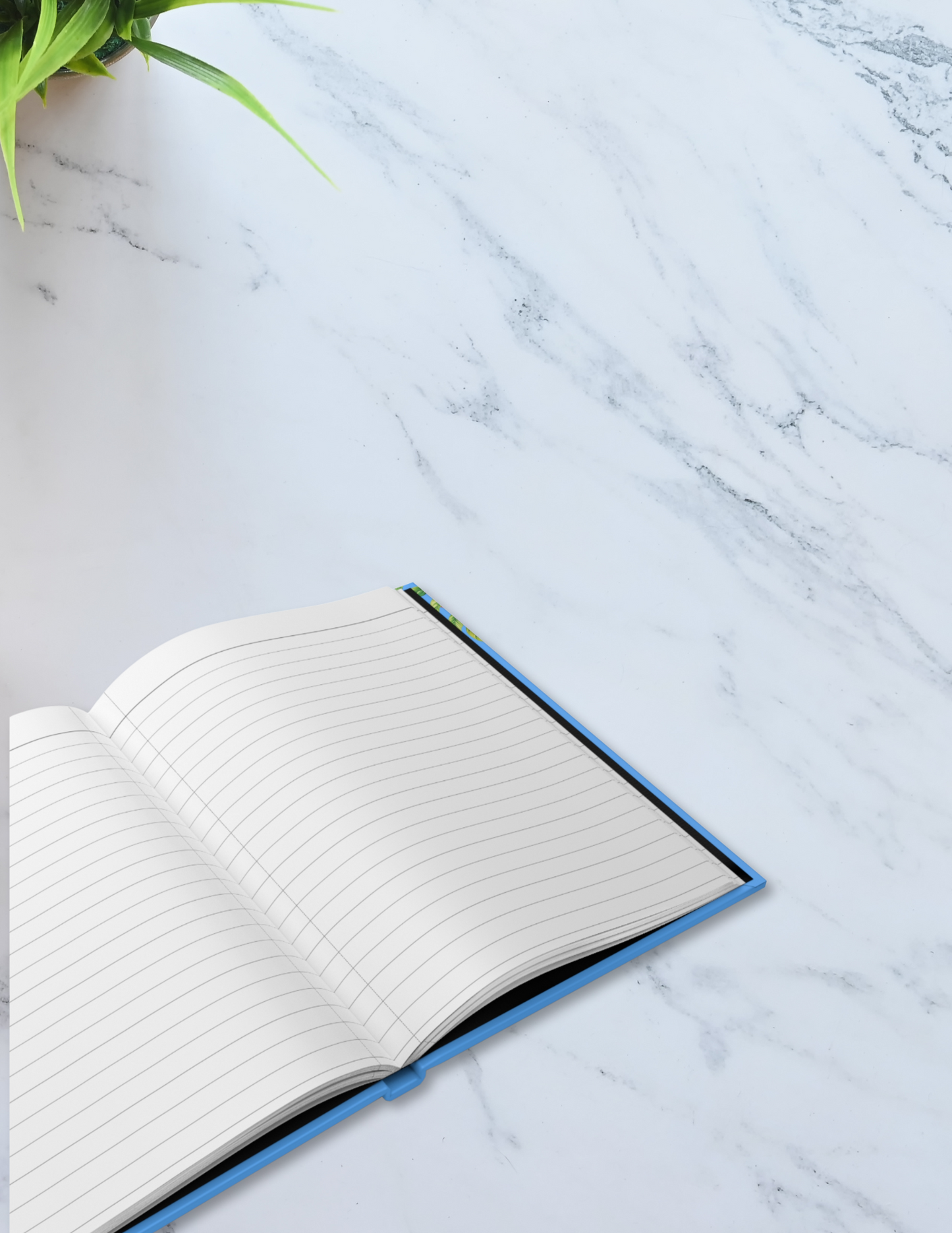 State of Summer hardcover Journal