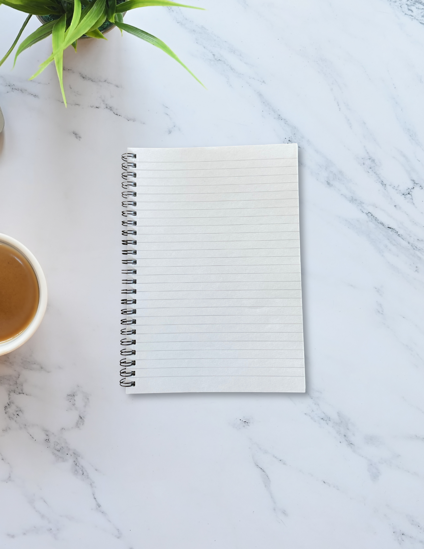 Sun Dazed Spiral Notebook