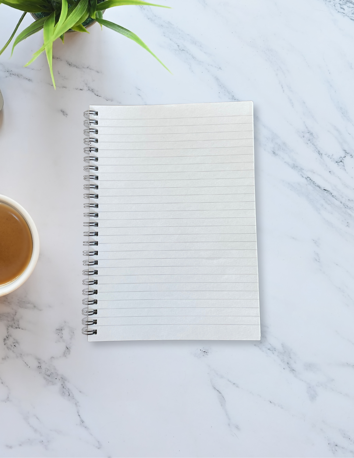 The Solo Glow-Up Spiral Notebook